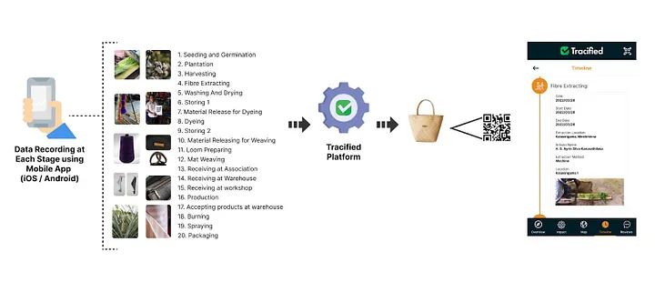 EcoWatch Illustration by Devon Galley