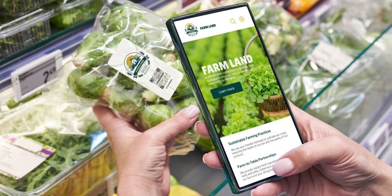The Ripple Effects: Trust, Ethics and Survival