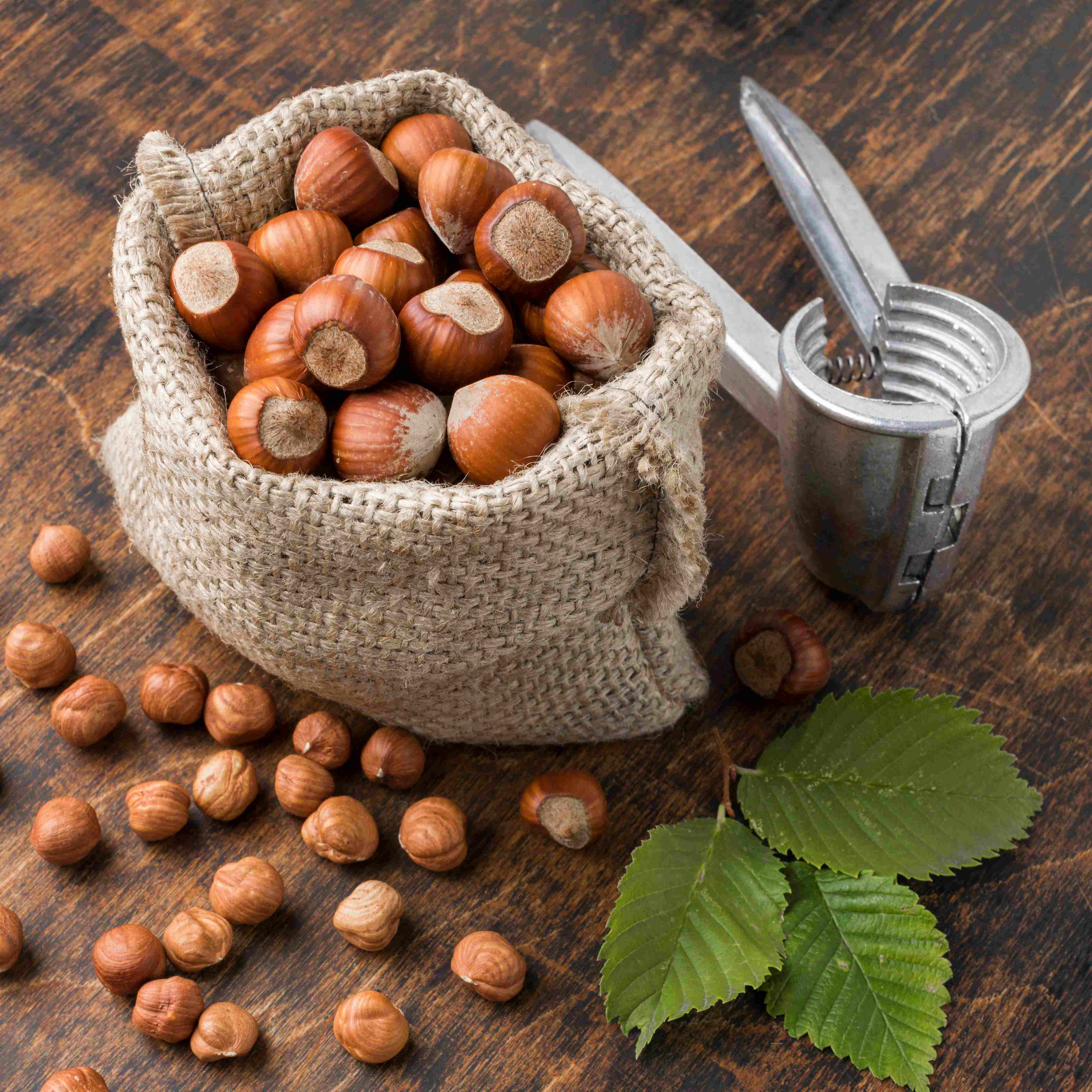 hazelnut image