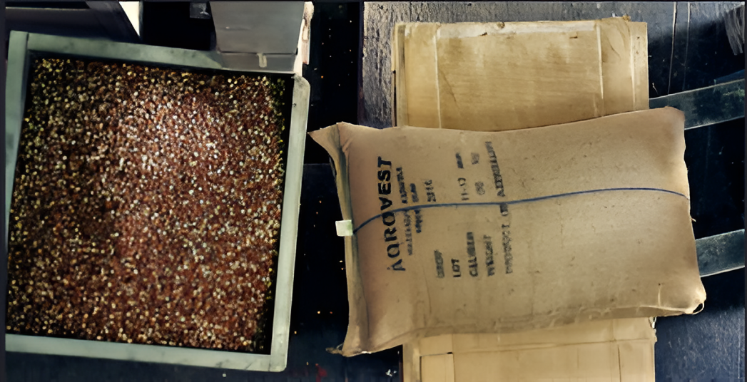 Packing Image