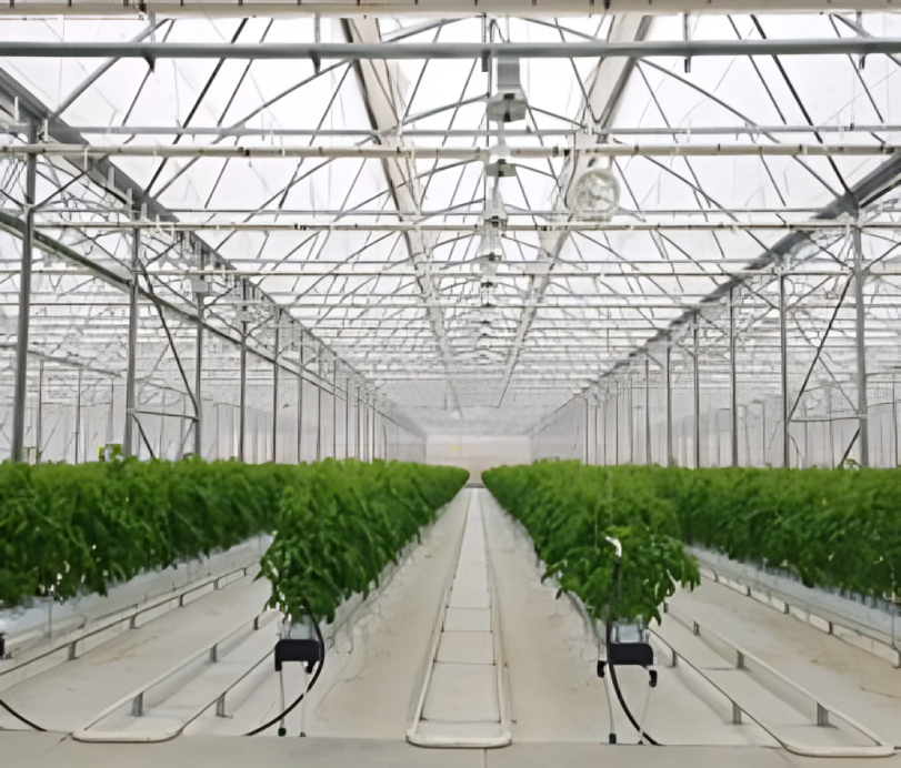 Seeding Complex Image